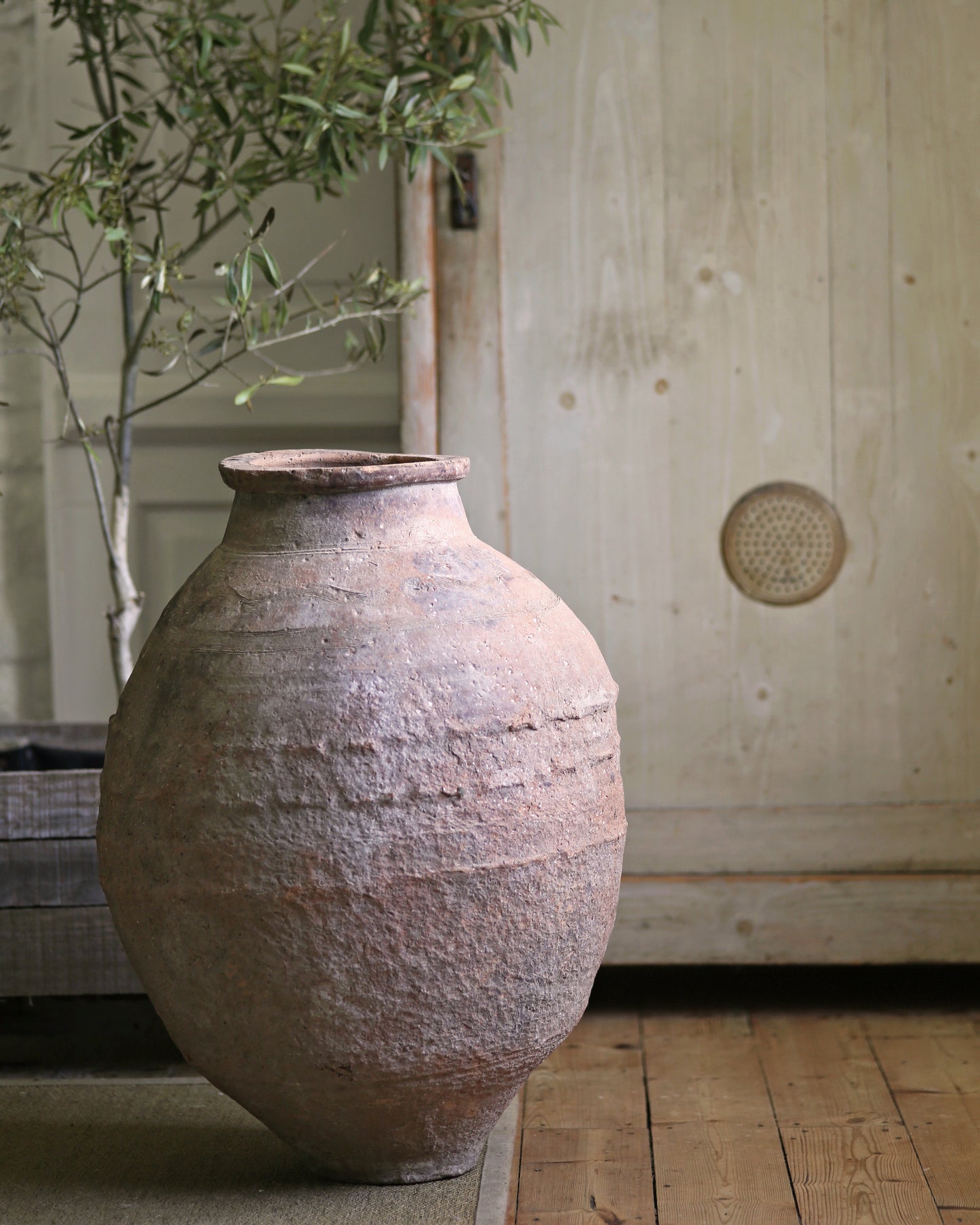 OSSI ANTIQUE OLIVE POT