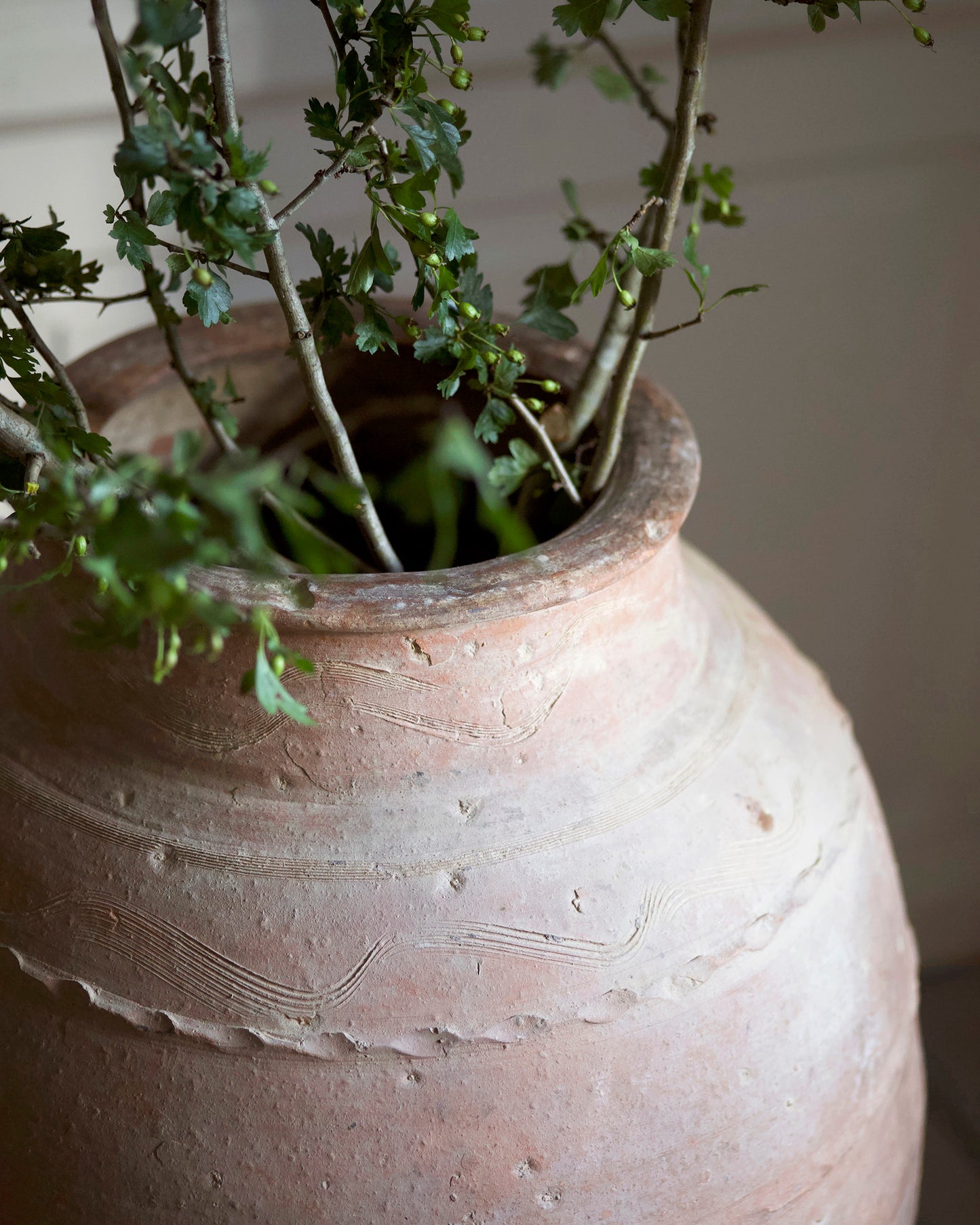 LUDOS MEDITERRANEAN OLIVE POT