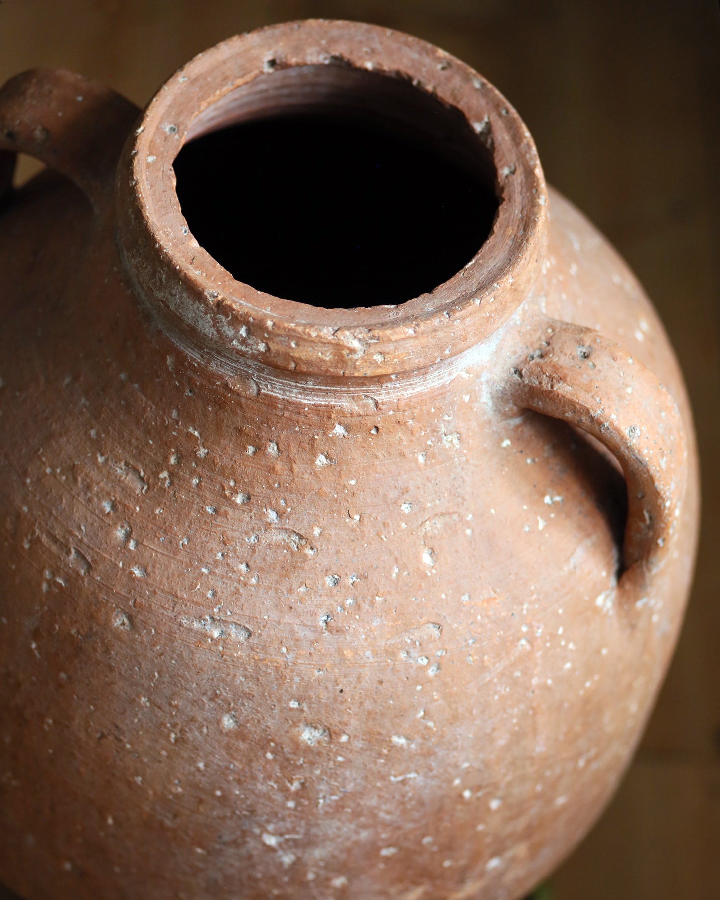 THARI HANDLED OLIVE POT