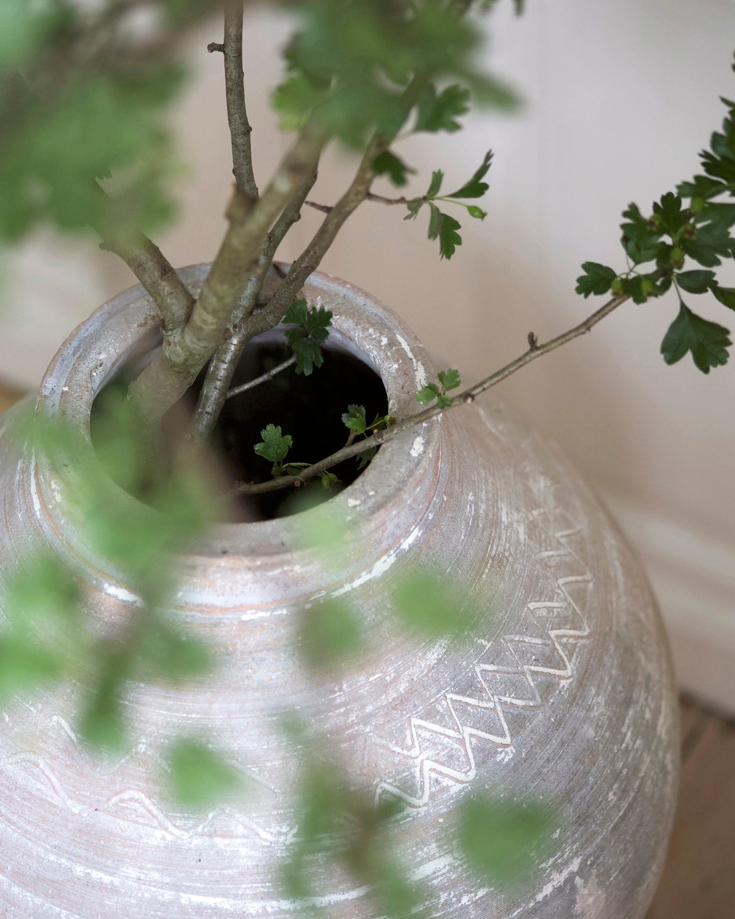 TILOS MEDITERRANEAN OLIVE POT