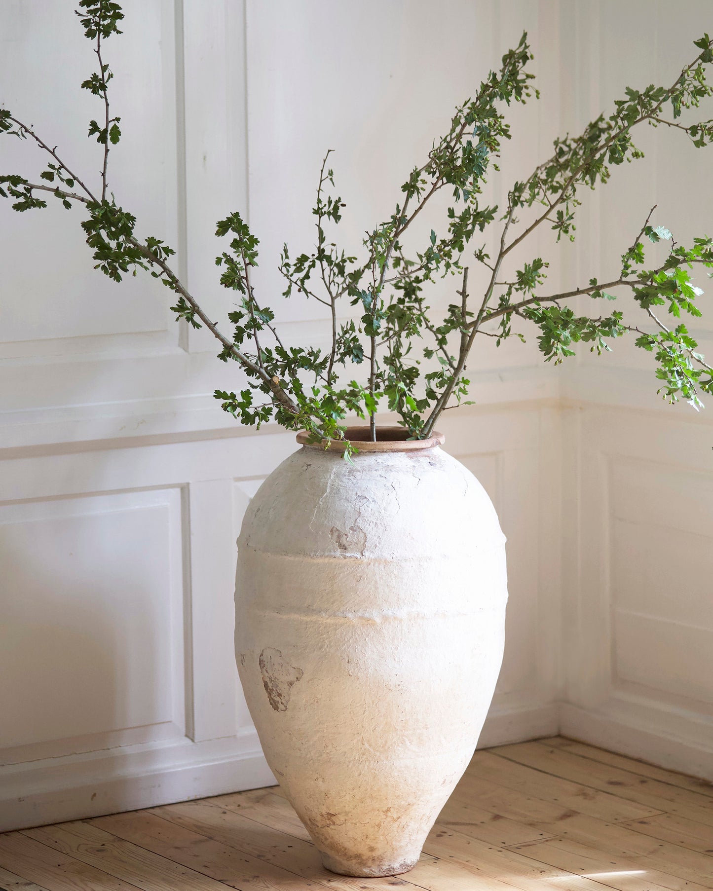 VALENI MEDITERRANEAN OLIVE POT