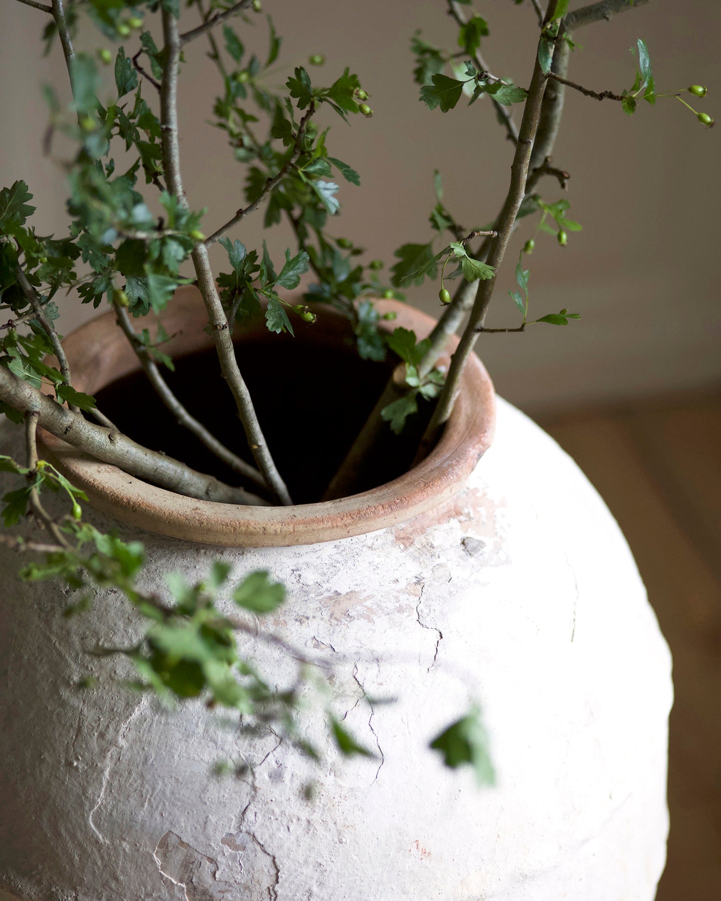 VALENI MEDITERRANEAN OLIVE POT