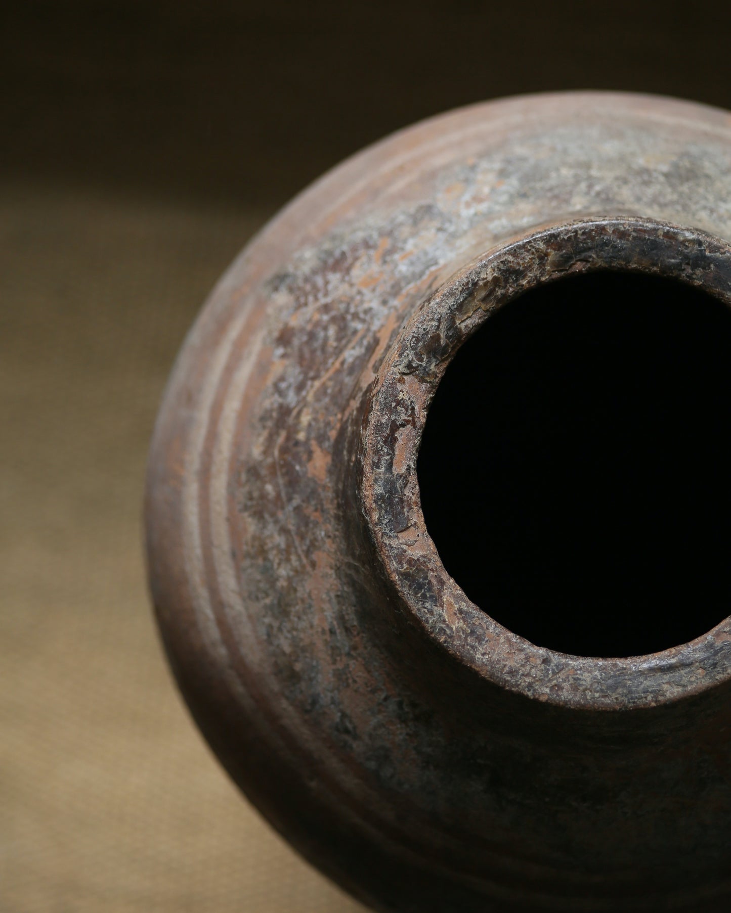 FOLIO MEDITERRANEAN OLIVE POT