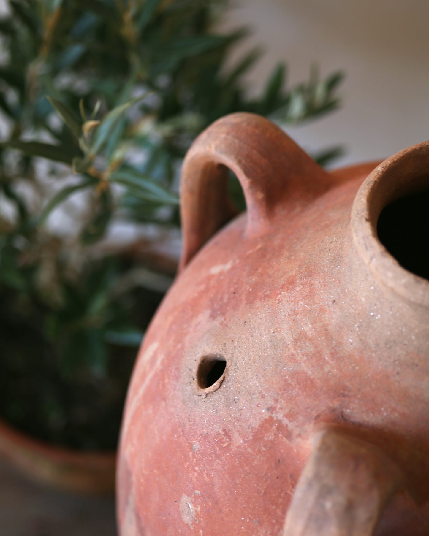 PIENZA MEDITERRANEAN VESSEL