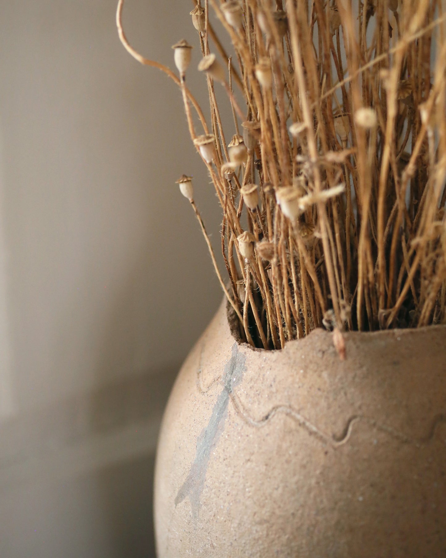 Chip detail on old terracotta pot