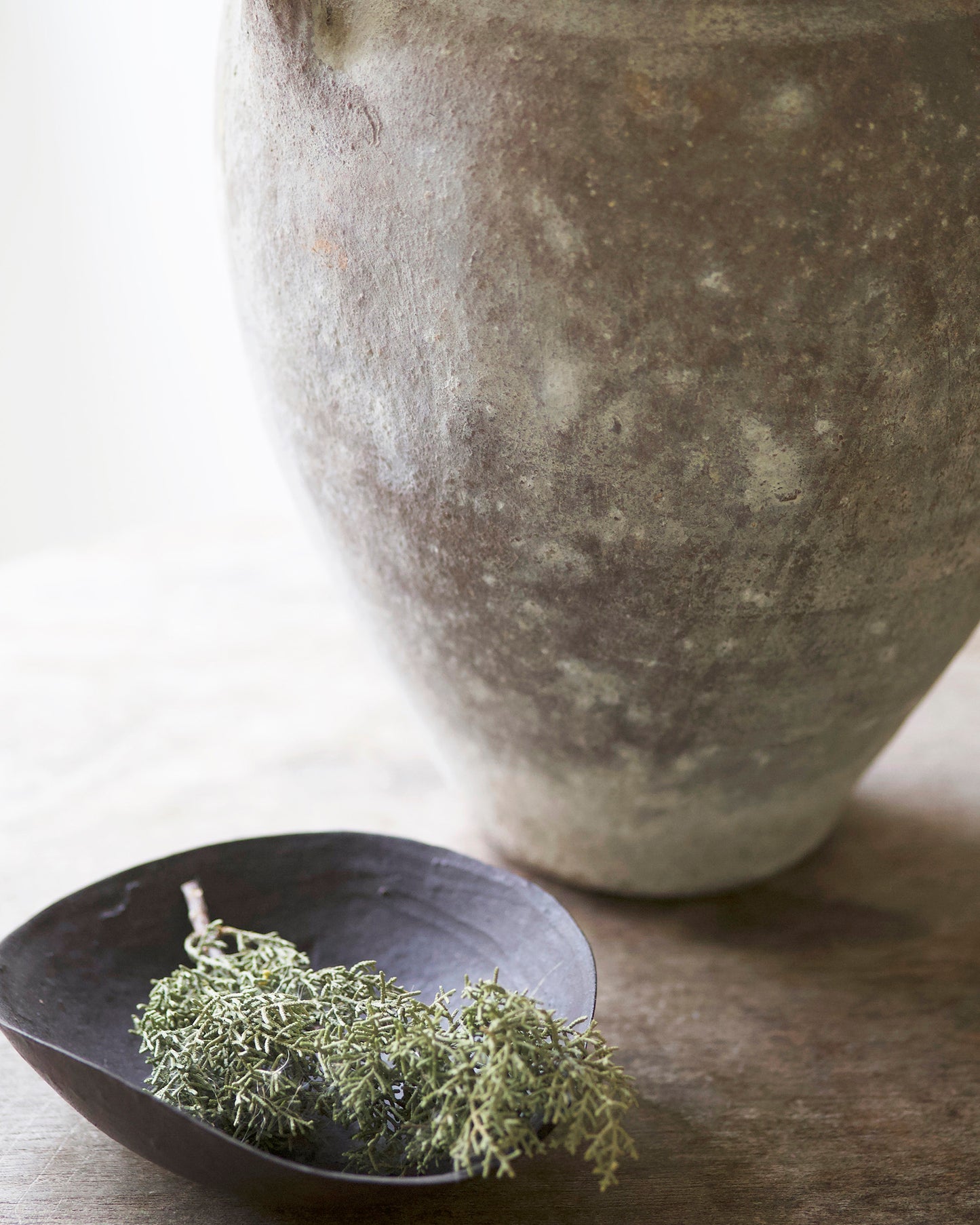 SIROS TWIN HANDLED POT