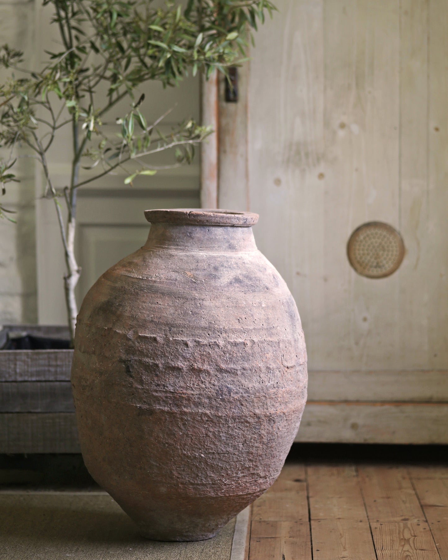 OSSI ANTIQUE OLIVE POT