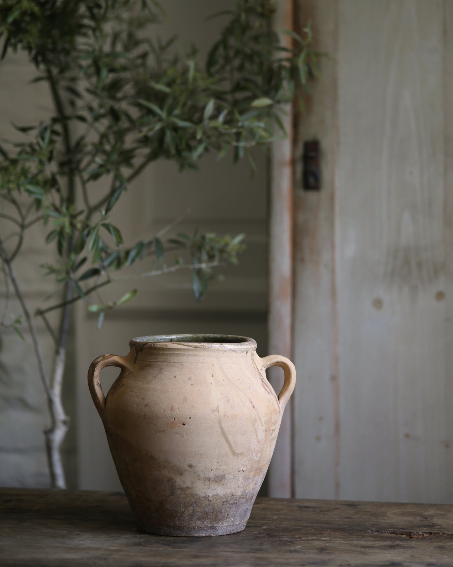 AURA ANTIQUE POT