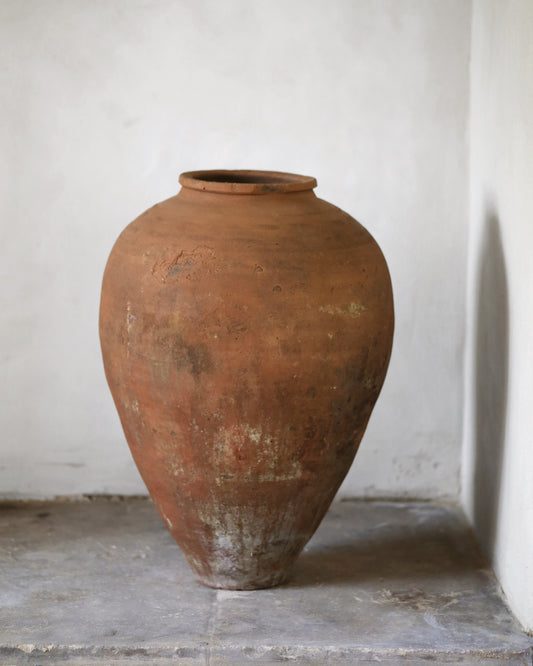 Large terracotta vase against a plain white wall