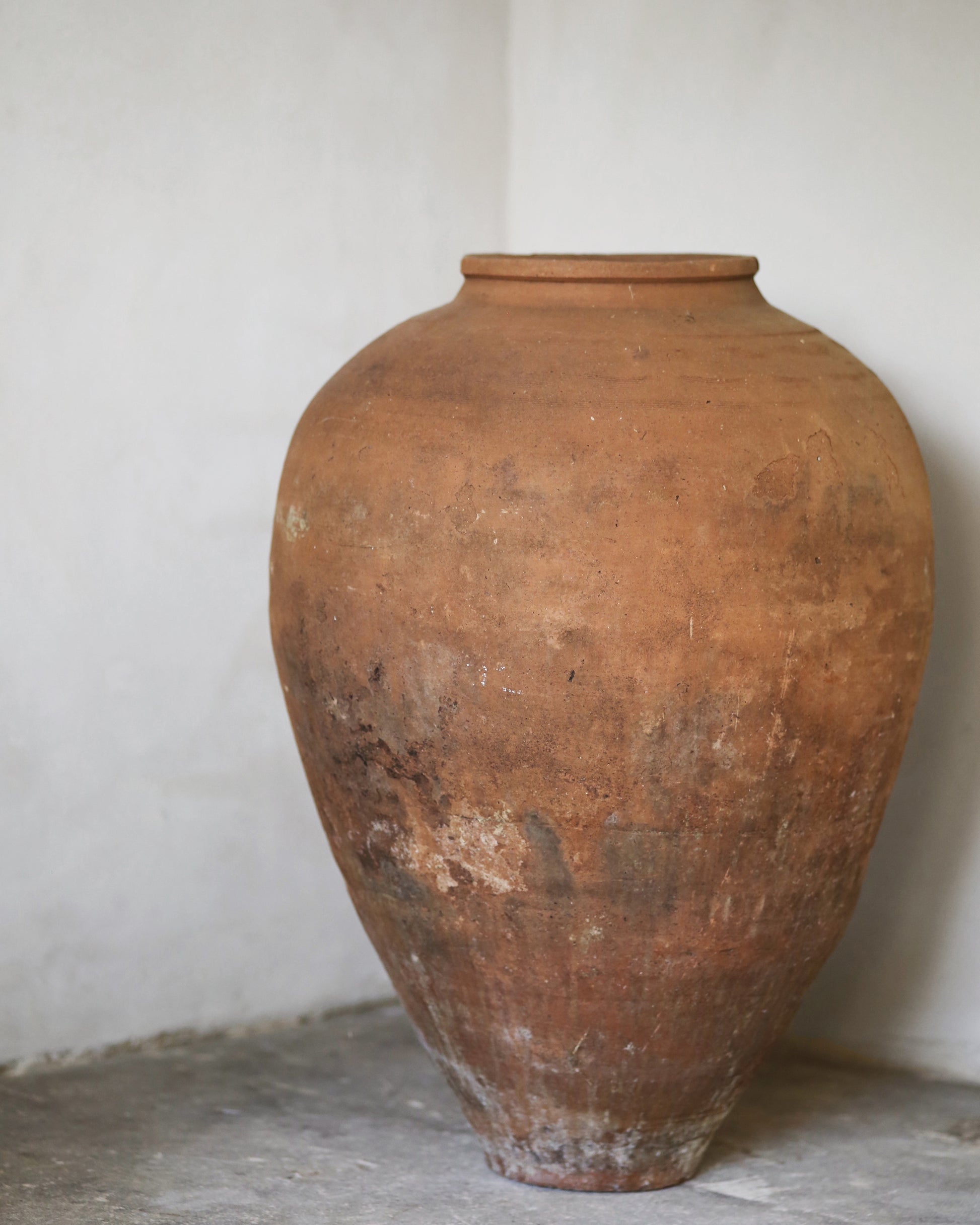 Large terracotta pot against a plain wall