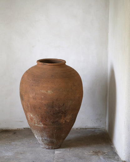 Large terracotta vase against a plain white wall