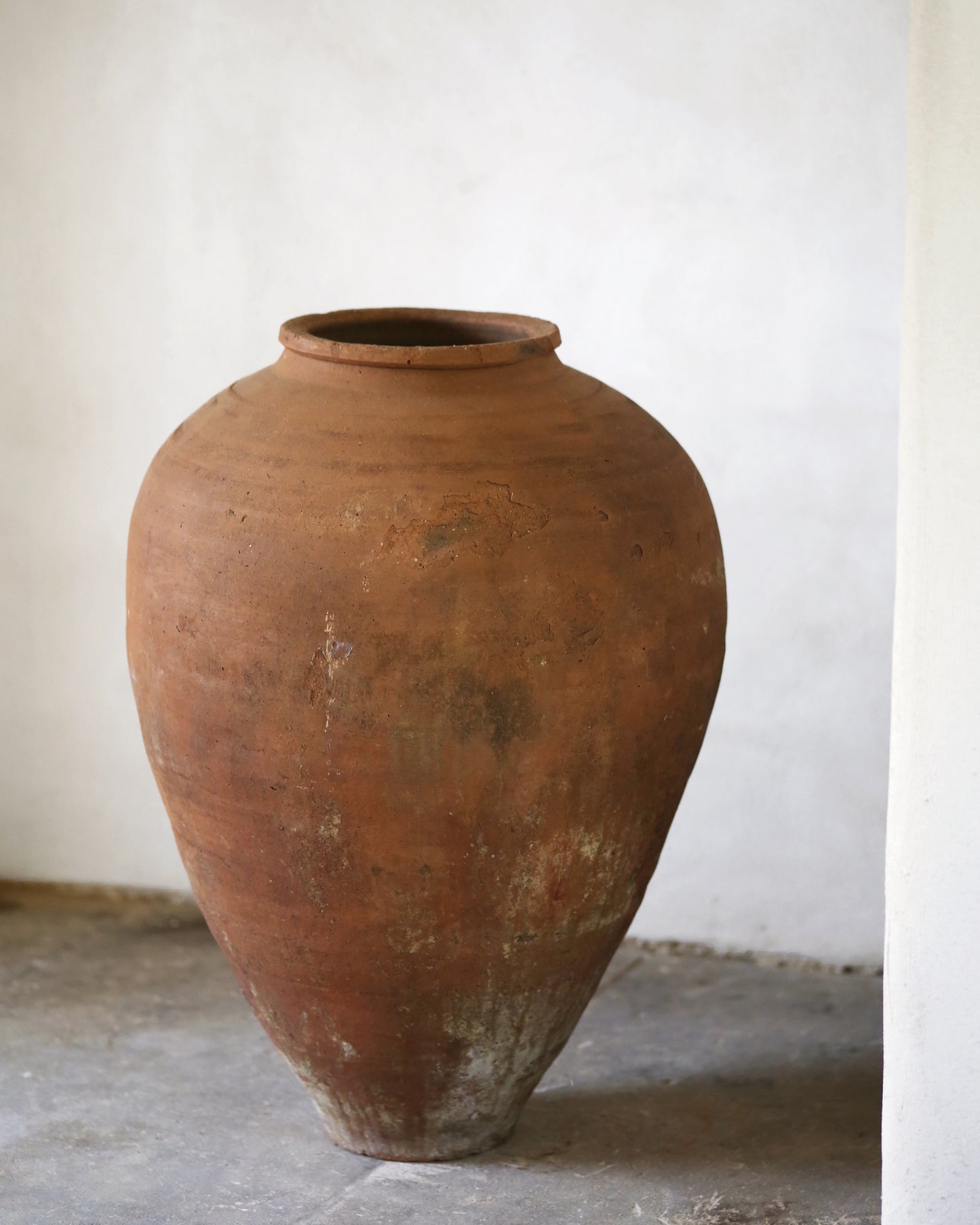 Large terracotta pot on a flagstone floor with a white wall background