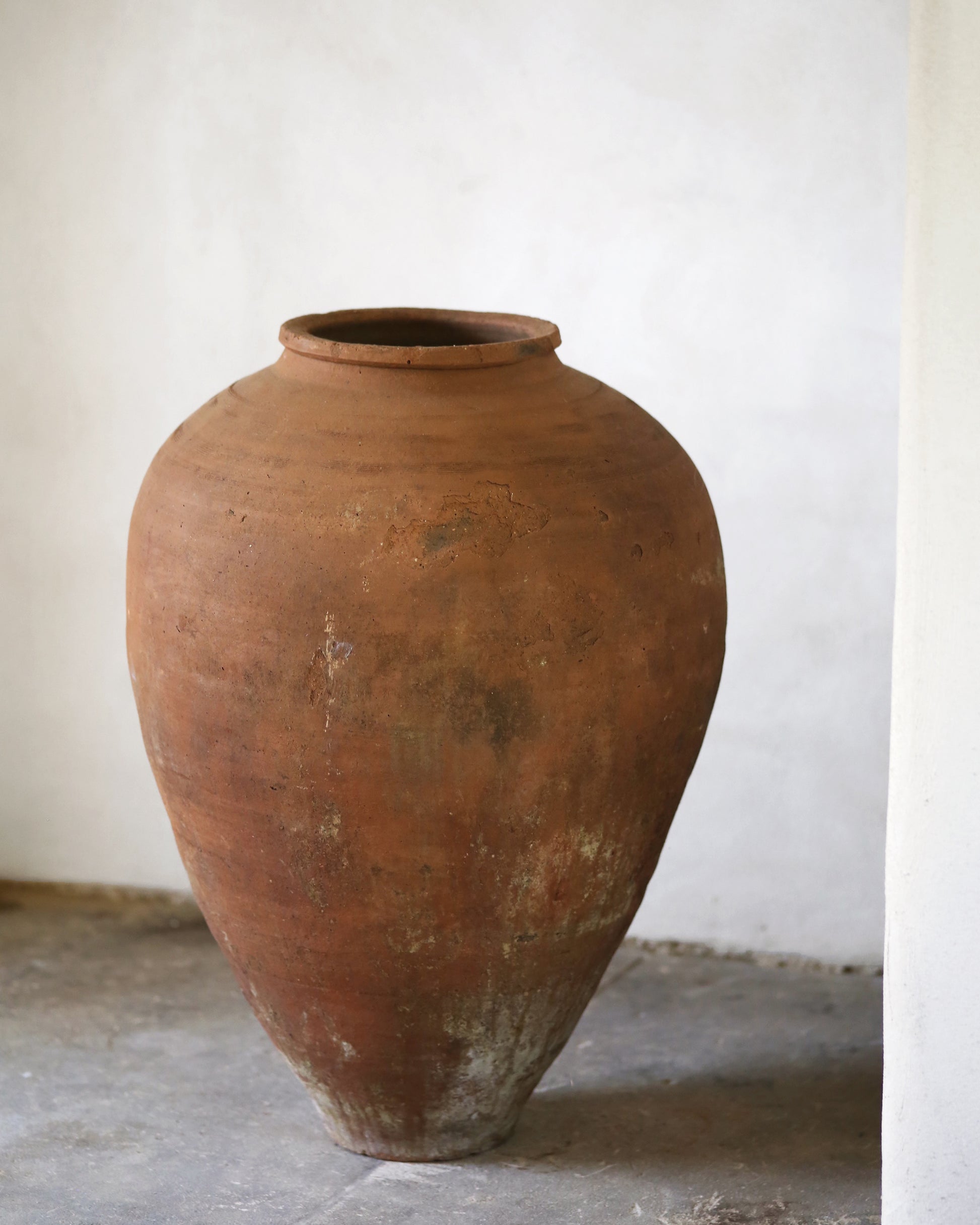 Large terracotta pot on a flagstone floor with a white wall background