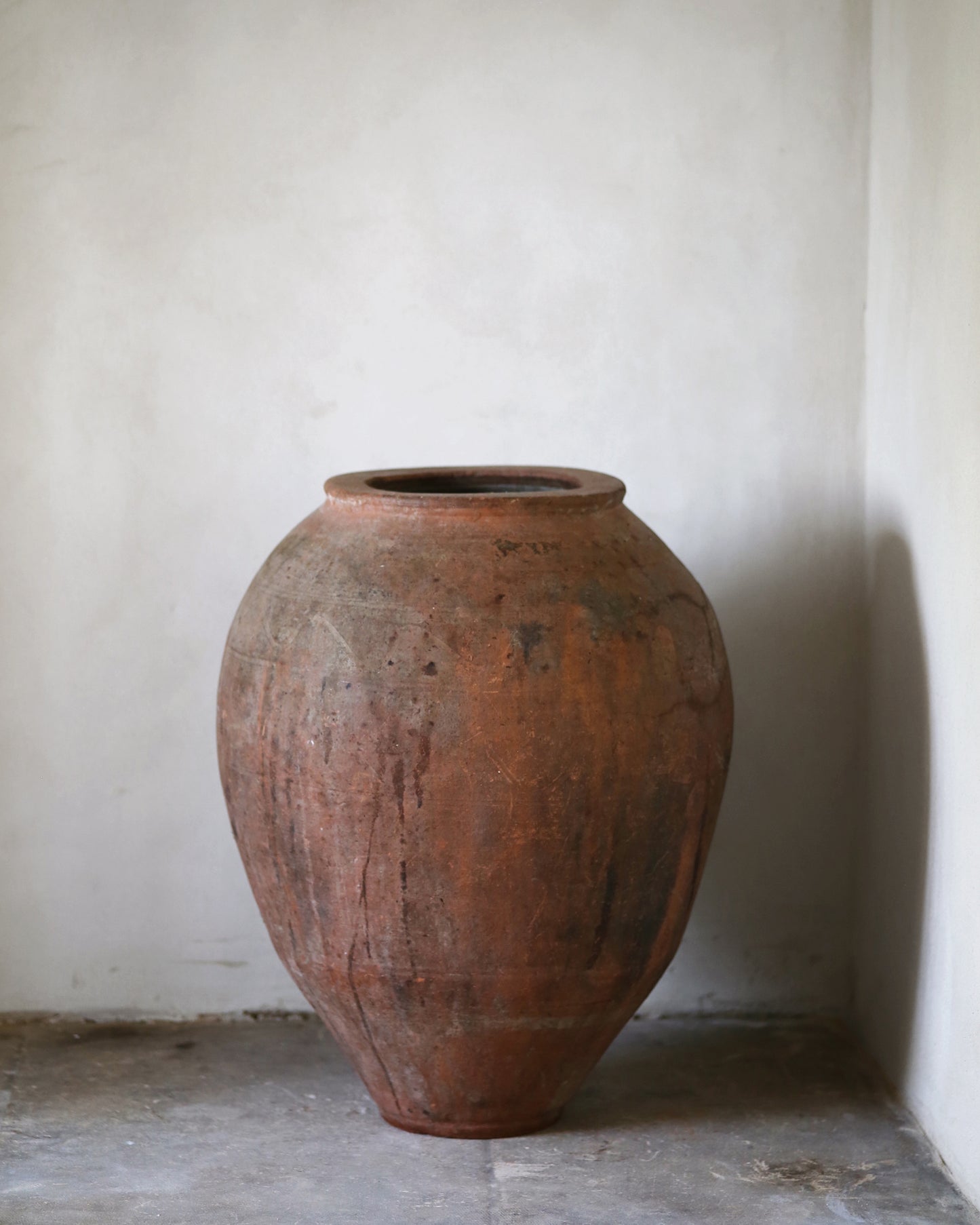 Large terracotta pot against a plain wall