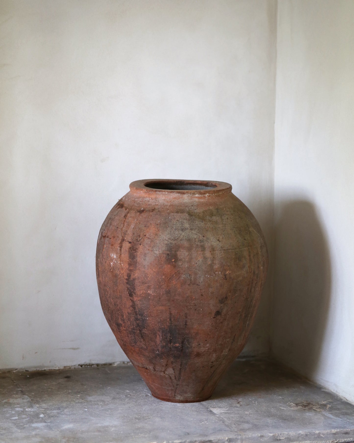 Large terracotta pot against a plain wall