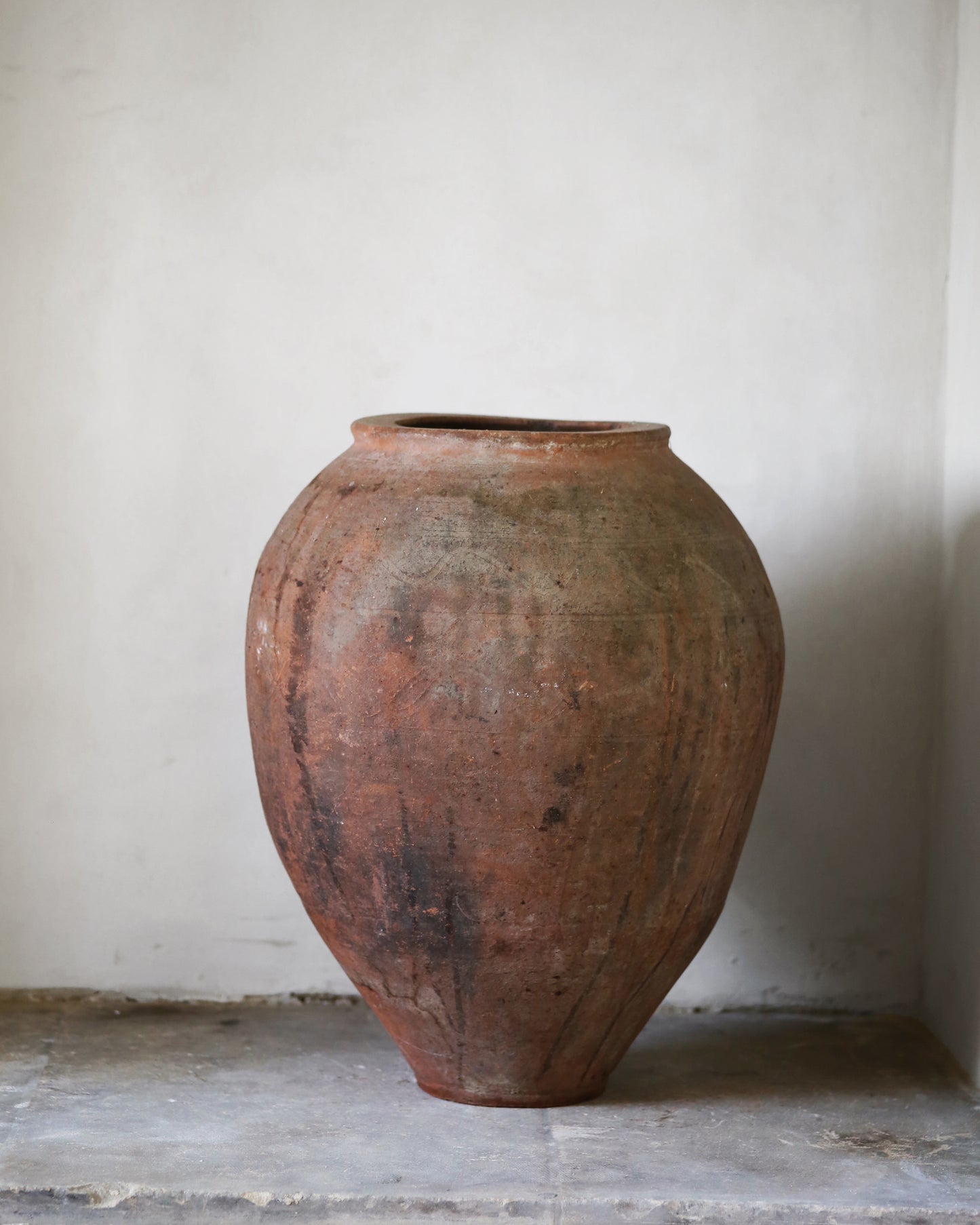 Large terracotta vase against a plain wall