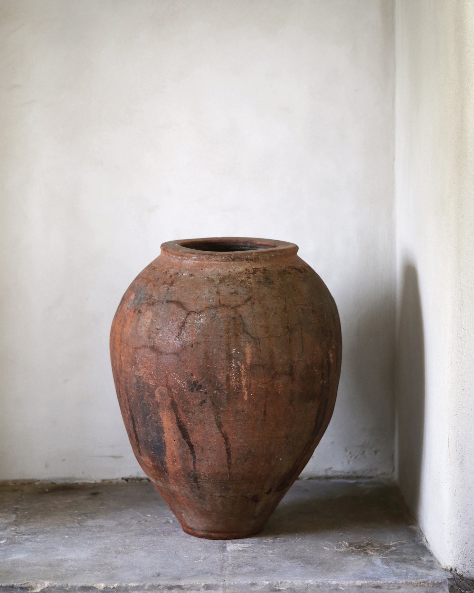Large terracotta pot against a plain wall