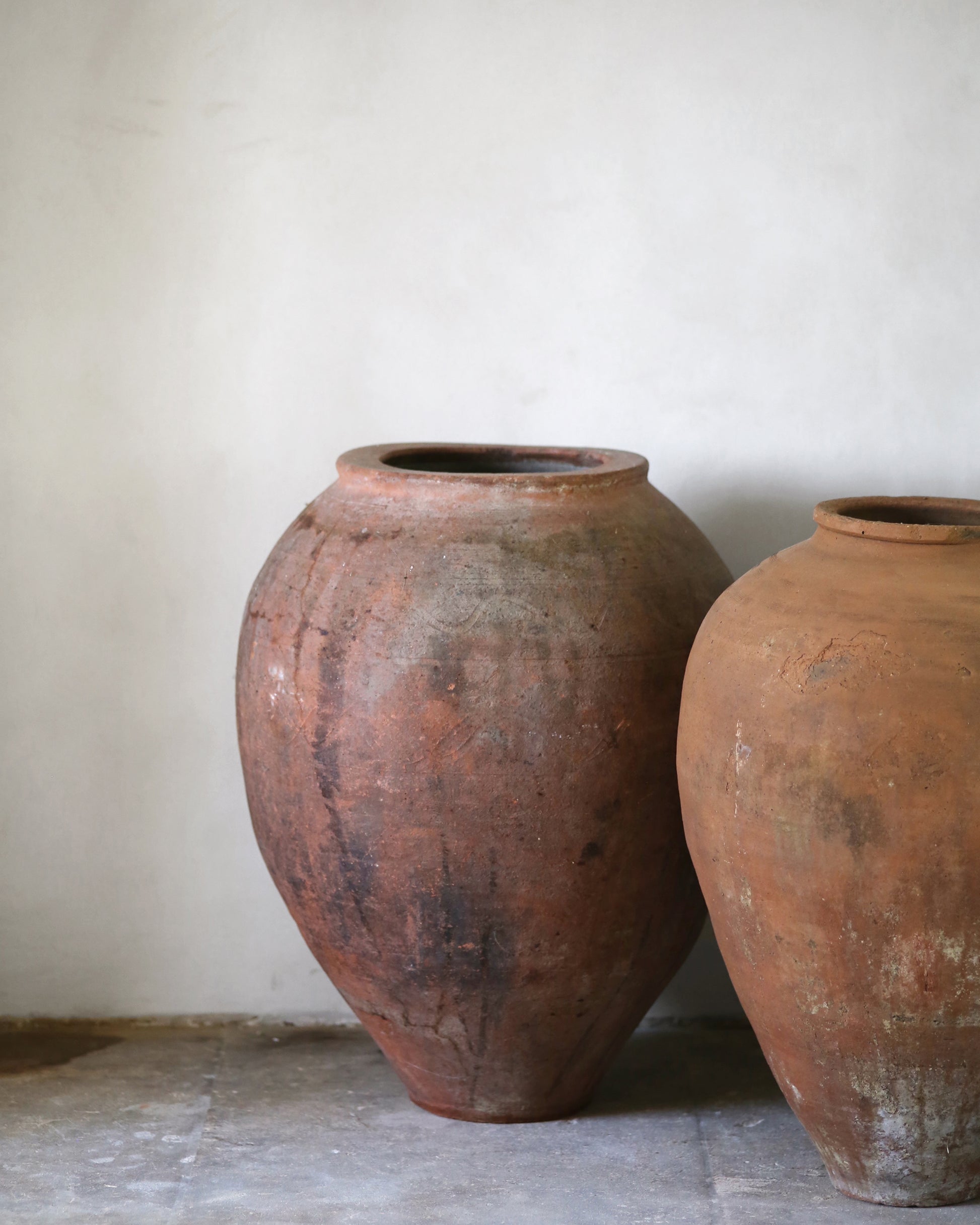 Two large terracotta pots against a plain wall.