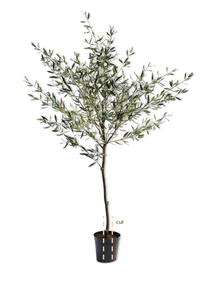 Faux olive tree with plastic base - shown ready for potting into antique planter