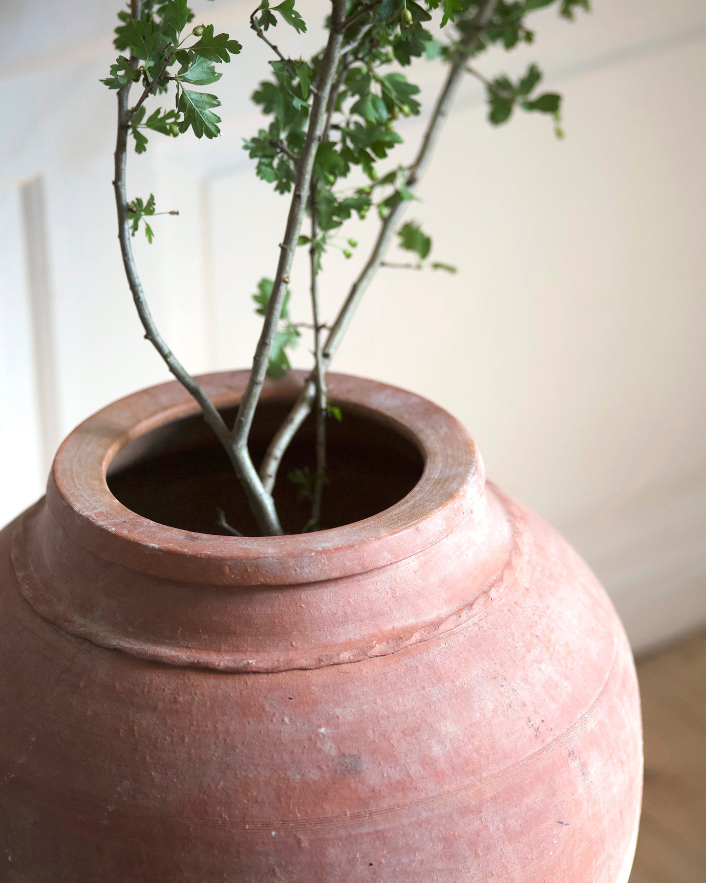 Decorative detail terracotta olive pot