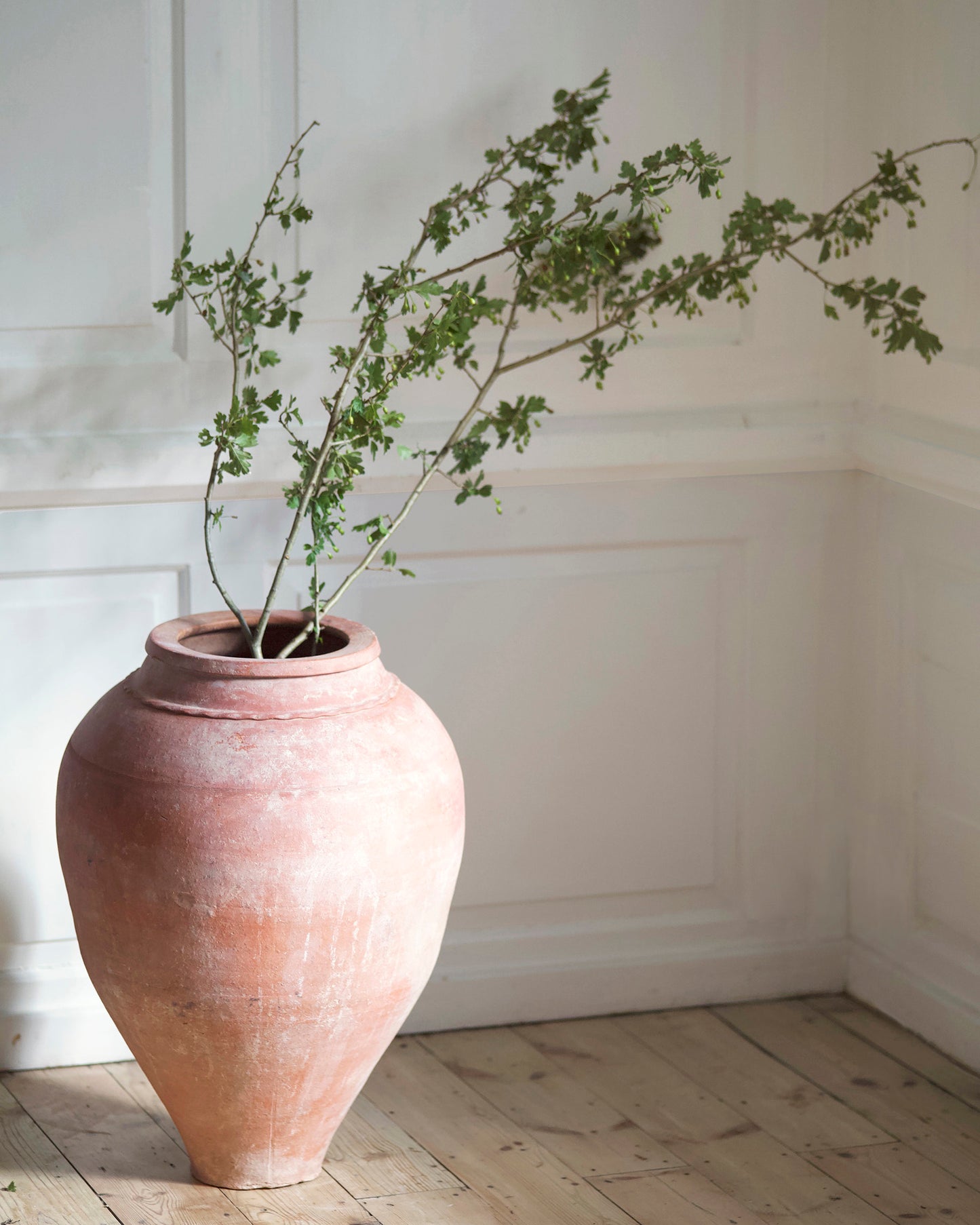 Patina detail of mediterranean olive pot styled with branches