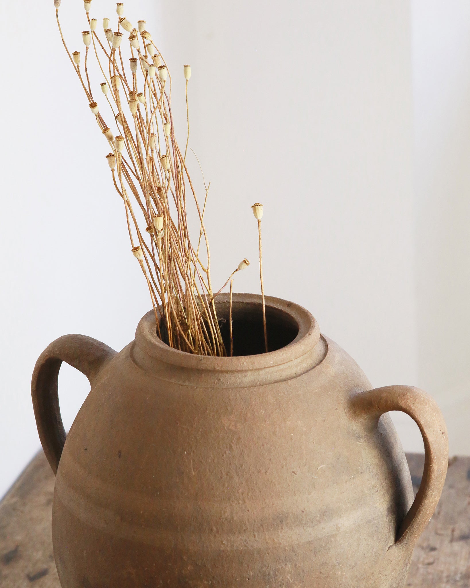 Antique terracotta Mediterranean pot with dried stems