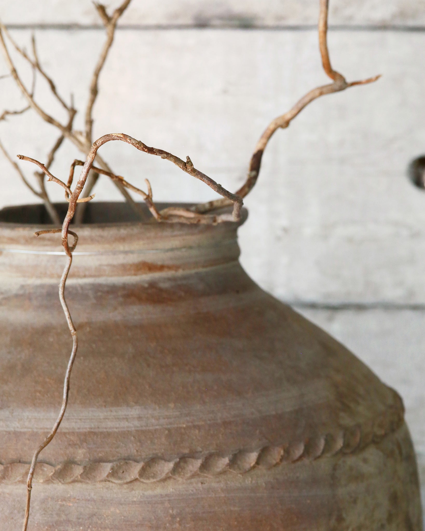 Close up detail of Mediterranean olive pot with twig