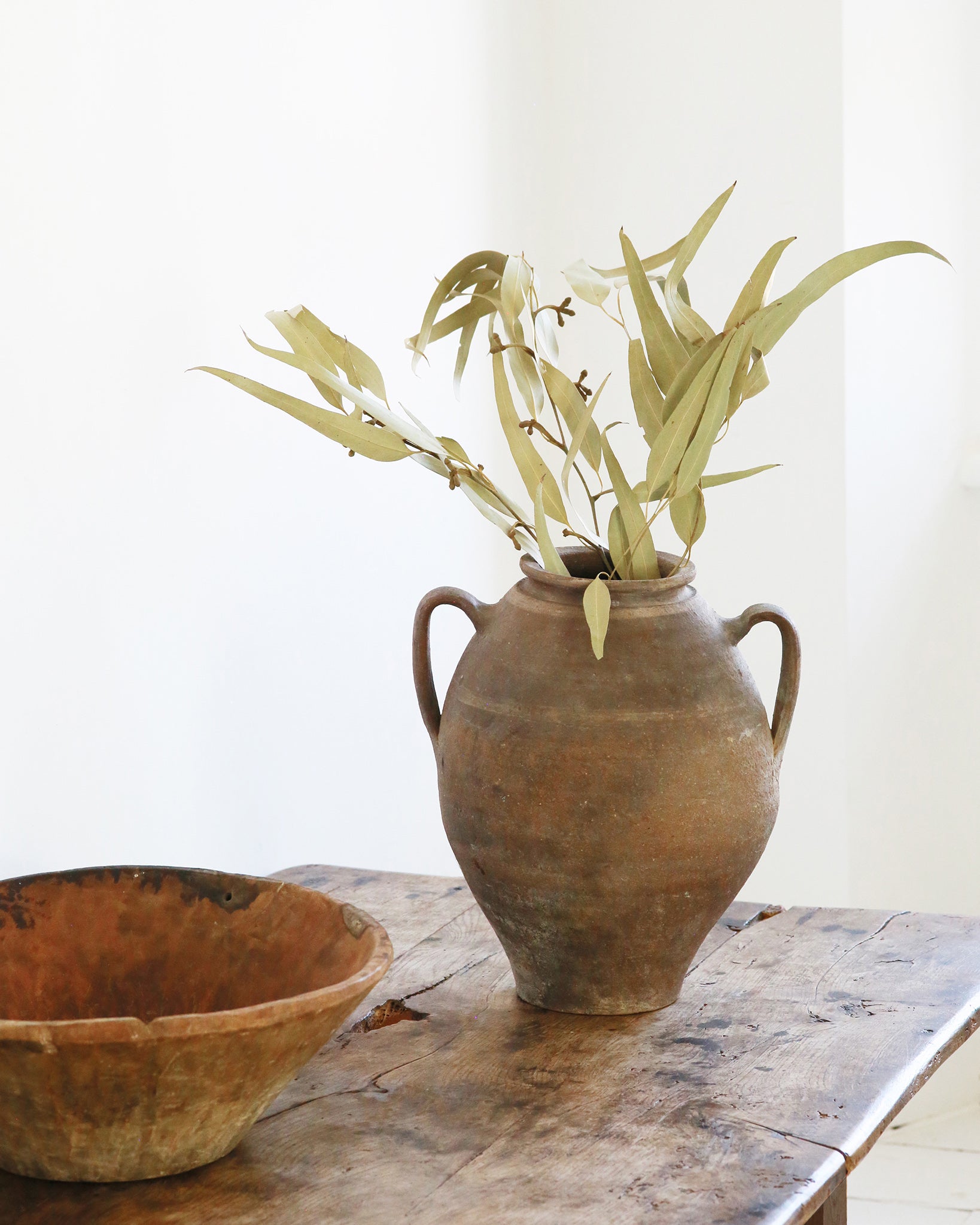 Terracotta vase on coffee table with eucalyptus styling