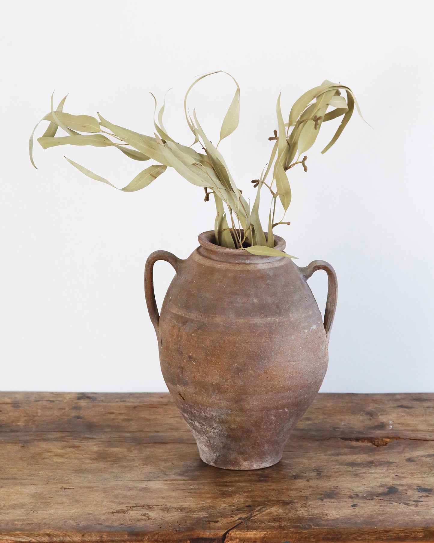 Rustic Mediterranean pot with handles used as vase with stems