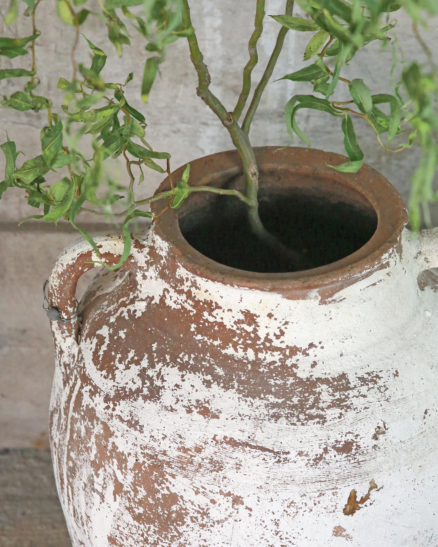 White Mediterranean olive pot styled with greenery